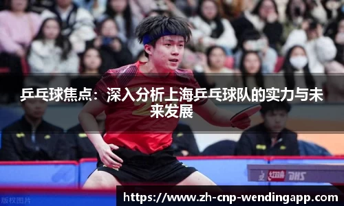 乒乓球焦点:深入分析上海乒乓球队的实力与未来发展